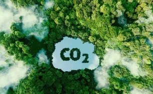 Phát triển thị trường carbon tại Việt Nam: Đề án mới từ Chính phủ