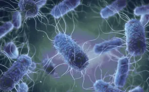 Ba bác sĩ nghi nhiễm E.Coli tại Hong Kong (Trung Quốc)