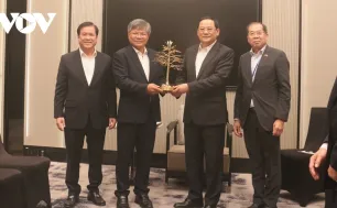 Lào mong muốn Việt Nam đầu tư hoạt động chế biến sản phẩm công nghiệp cao su