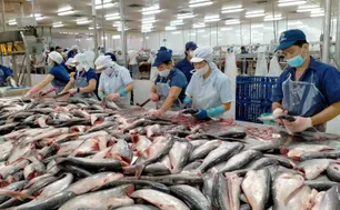 Chi gần 2 tỷ USD mua tôm cá Việt, Trung Quốc là thị trường xuất khẩu thủy sản lớn nhất của Việt Nam