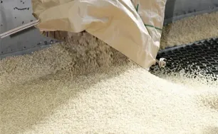Nhật Bản cân nhắc nhượng bộ về đậu nành và gạo khi đàm phán thuế với Mỹ