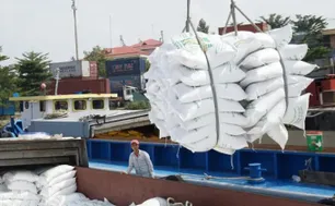 Việt Nam chuẩn bị 3 kịch bản tăng trưởng nông nghiệp ứng phó với thuế quan Mỹ