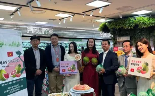 Bưởi xuất khẩu sang Hàn Quốc trung bình đạt 2,4 USD/kg