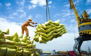 Indonesia từ chối đề nghị bán gạo cho Malaysia