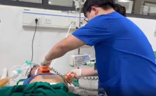Cảnh báo ngộ độc rượu ngâm củ ấu tàu