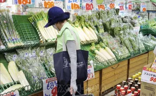 Hàng trăm mặt hàng thực phẩm Nhật Bản có thể tăng giá trong tháng 5