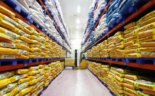 Bất ngờ sức hấp dẫn gạo Việt Nam ở thị trường Nhật Bản