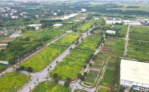 Hưng Yên triển khai đấu giá 231 lô đất với giá khởi điểm từ 9 triệu đồng/m²