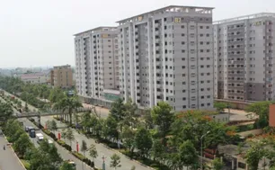 Hàng loạt hộ dân NƠXH xin trả lại nhà sau khi bị kiểm tra