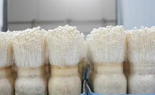 Người tiêu dùng ưu tiên chọn mô hình từ nông trại đến bàn ăn