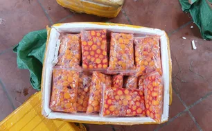 Hà Nội: Tạm giữ 800kg trứng gà non và tràng gà không rõ nguồn gốc
