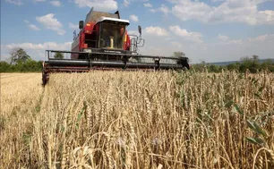 EU sẽ giảm hạn ngạch miễn thuế đối với các sản phẩm nông nghiệp của Ukraine