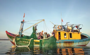 Tổ hợp tác khai thác hải sản: Giải pháp nâng thu nhập cho ngư dân Tiền Giang