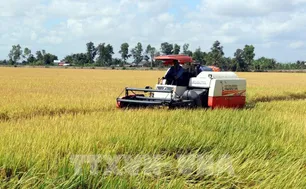 Chủ động kịch các kịch bản tiêu thụ nông sản