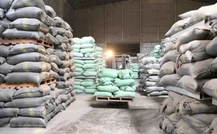 Xuất bán gần 90.000 tấn lương thực dự trữ quốc gia