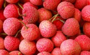 Mở rộng kết nối tiêu thụ vải thiều