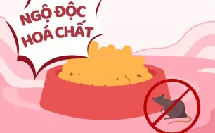 Trẻ em đối mặt với nguy cơ ngộ độc thuốc và hóa chất: Cảnh báo từ những tình huống thường ngày
