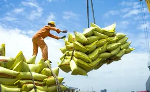 VCCI kiến nghị bỏ rào cản với doanh nghiệp xuất khẩu gạo
