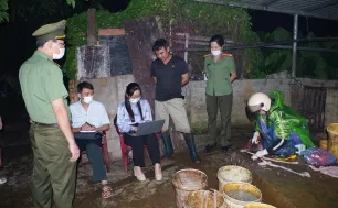 Phát hiện và tiêu huỷ gần 3 tấn thịt lợn nhiễm virus tại lò mổ “chui”