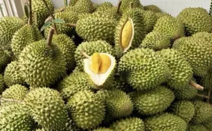 Thủ tướng yêu cầu không để tình trạng ùn tắc hàng hóa, nông sản tại cửa khẩu