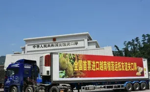 Thiết lập "luồng xanh" để nông sản tăng tốc sang Trung Quốc