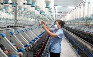 Những chính sách kinh tế mới nổi bật có hiệu lực từ 6/2025