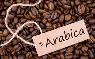 Sự trỗi dậy của cà phê Arabica Việt