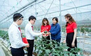 Cơ hội và thách thức của tín dụng xanh