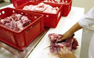 Trung Quốc gia hạn điều tra thịt lợn EU