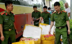 Phát hiện xe khách chở 476kg nội tạng không rõ nguồn gốc