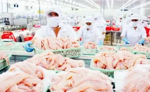 7 doanh nghiệp cá tra Việt được miễn thuế chống bán phá giá tại Mỹ