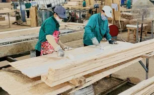 Doanh nghiệp nỗ lực đạt mục tiêu xuất khẩu gỗ 18 tỷ USD