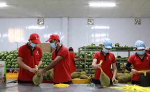 Cà phê, sầu riêng lập kỷ lục, nông sản Việt rộng cửa ra thế giới