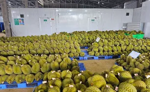 Đặt mục tiêu có 5.000 doanh nghiệp nông nghiệp vào năm 2030