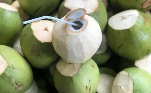 Dừa tươi Việt Nam: Từ đặc sản địa phương đến ngành hàng tỷ USD