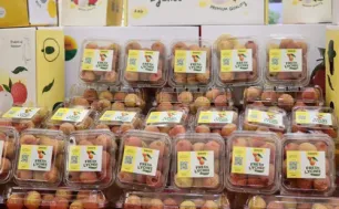 Xuất khẩu vải thiều tháng 6 tăng gấp ba cùng kỳ