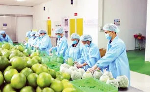 Cơ hội cho trái cây Việt Nam tại thị trường Mỹ