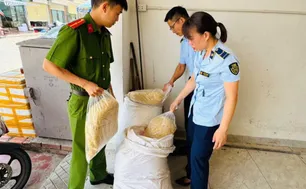 Thu giữ 100 kg ruốc gà không có hóa đơn, chứng từ tại cơ sở kinh doanh