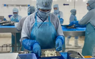 Logistics chuẩn Halal đưa hàng Việt vào thị trường tỷ USD