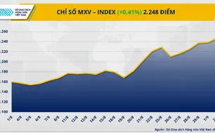 Dòng tiền chảy mạnh đẩy MXV-Index lên đỉnh gần 2 tháng