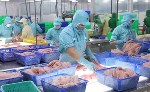 Xuất khẩu nông, lâm, thủy sản 8 tháng năm 2025 tăng 12%