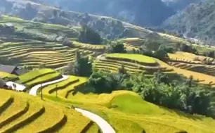 Du lịch nông nghiệp tạo đòn bẩy cho kinh tế nông thôn