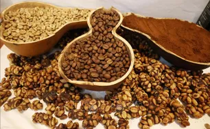 Cà phê Việt chinh phục người tiêu dùng Pháp