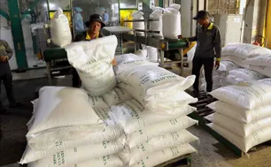 Làn sóng giảm giá "phủ bóng" thị trường nông sản thế giới