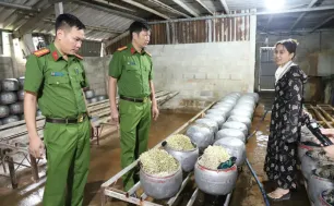 Phát hiện cơ sở sản xuất giá đỗ ở Hà Tĩnh dùng chất cấm "nước kẹo"