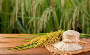 ạo Việt Nam chịu sức ép cạnh tranh từ Ấn Độ