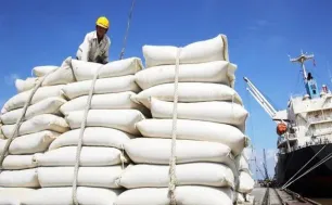 Thị trường gạo châu Á thấp nhất trong nhiều năm