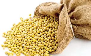 Giá đậu tương tăng vọt nhưng nhà đầu tư vẫn thận trọng với sức cầu thực tế