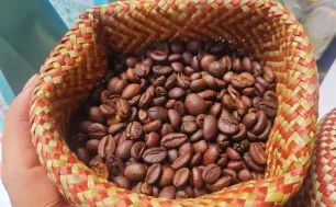 Cà phê Việt Nam hướng đến giá trị bền vững nhờ chế biến sâu