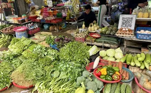 TP Hồ Chí Minh: Mưa liên tục làm nhiều diện tích rau bị ảnh hưởng, giá tăng cao